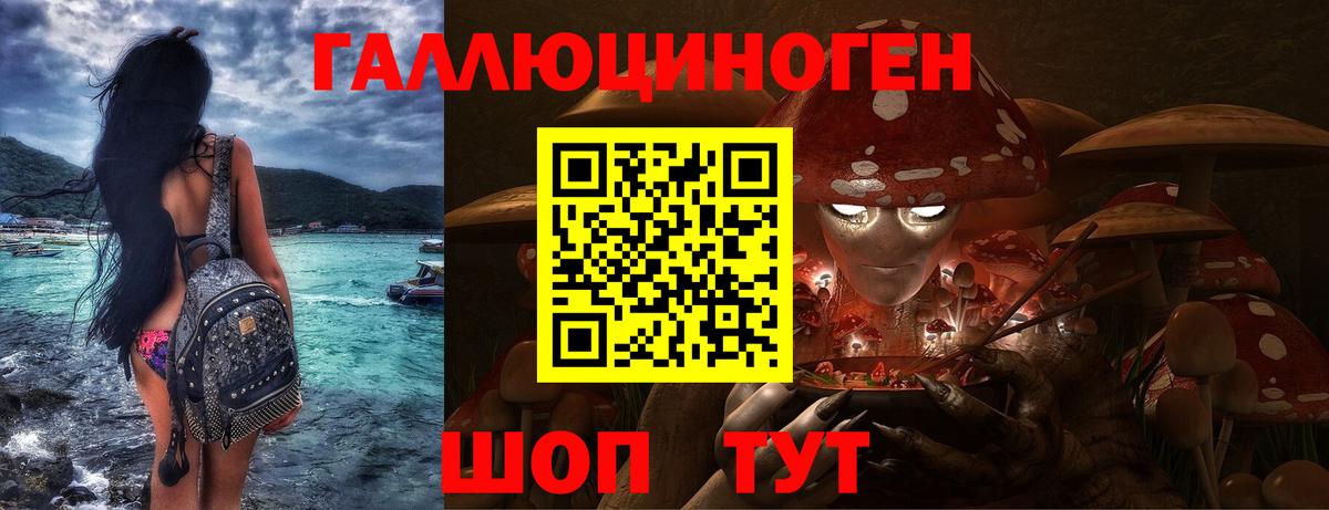 Галлюциногенные грибы Psilocybe Богданович