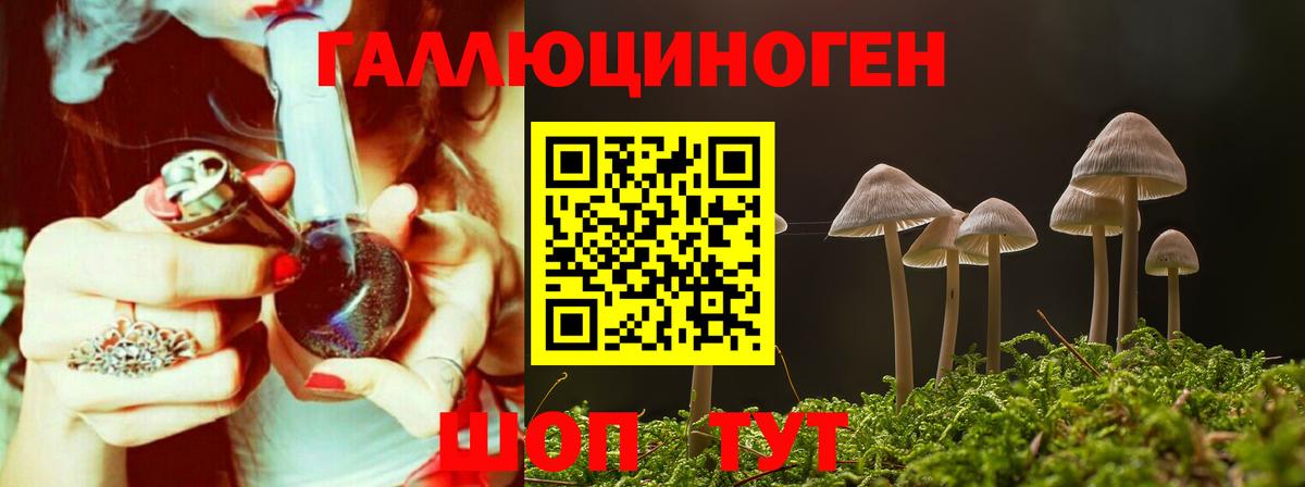 Галлюциногенные грибы Cubensis  Псилоцибиновые грибы прущие грибы  Вход с VPN  Богданович 